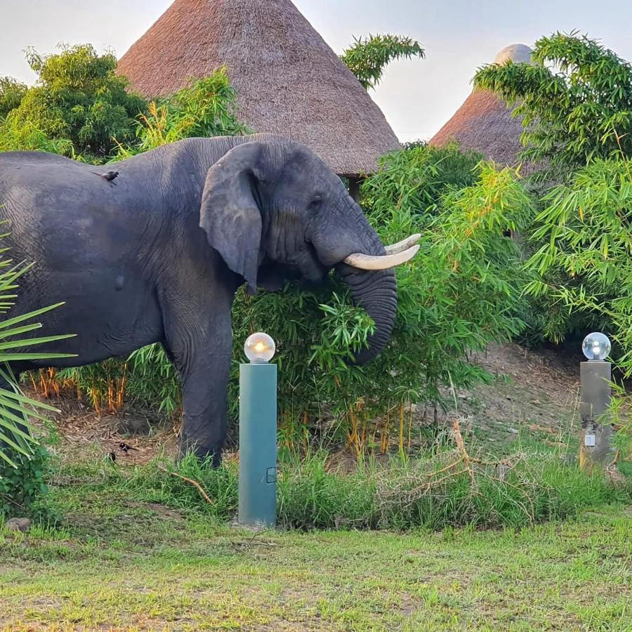 Tilenga Safari Lodge Arua المظهر الخارجي الصورة